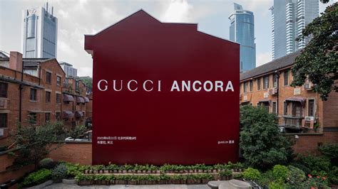 what is gucci ancora|gucci ancora china.